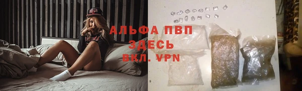 прущие крисы Вяземский