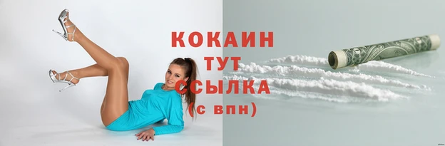 прущие крисы Вяземский