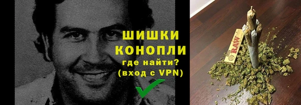 прущие крисы Вяземский