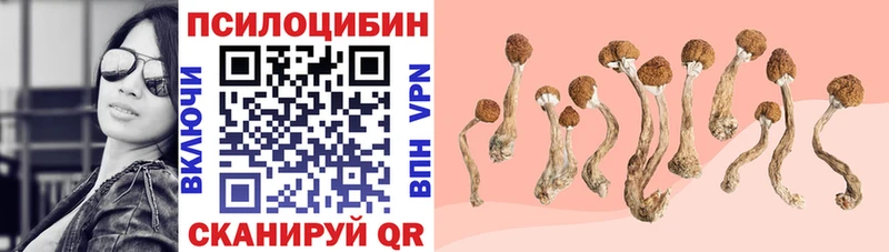 Псилоцибиновые грибы Magic Shrooms  Карабаново 